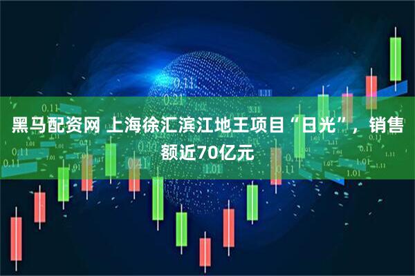 黑马配资网 上海徐汇滨江地王项目“日光”，销售额近70亿元