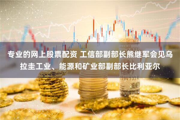 专业的网上股票配资 工信部副部长熊继军会见乌拉圭工业、能源和矿业部副部长比利亚尔